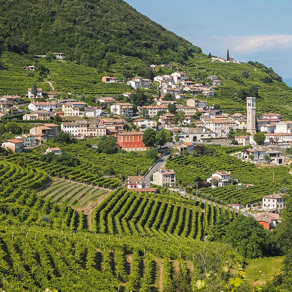 Prosecco Region in Italy