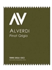 Alverdi Pinot Grigio Terre Degli Osci 750ML Label