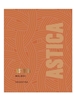 Astica Malbec Cuyo 750ML Label