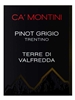 Ca'Montini Pinot Grigio Terre di Valfredda Trentino 750ML Label