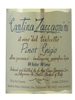 Cantina Zaccagnini Pinot Grigio Colline Pescaresi 750ML Label