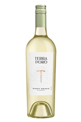 Terra dOro Pinot Grigio Santa Clarksburg 2020 750ML Bottle