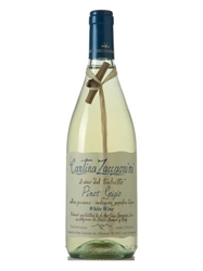Cantina Zaccagnini Pinot Grigio Colline Pescaresi 750ML Bottle